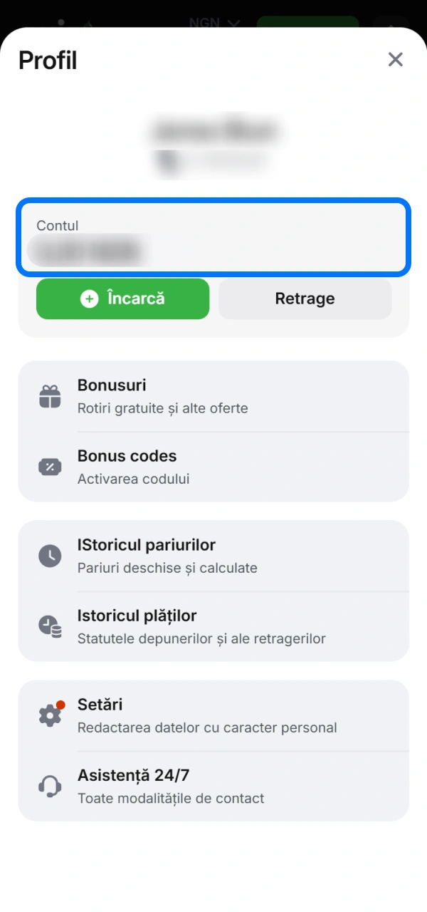 Verifică în contul tău 1win stadiul tranzacției prin care retrage banii.