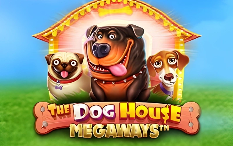 Încearcă jocul de cazino The Dog House Megaways pentru multiplicatori uriași 1win.